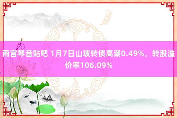 雨宫琴音贴吧 1月7日山玻转债高潮0.49%，转股溢价率106.09%