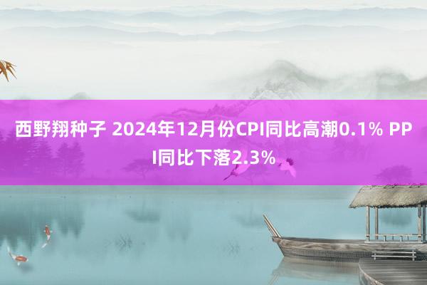 西野翔种子 2024年12月份CPI同比高潮0.1% PPI同比下落2.3%