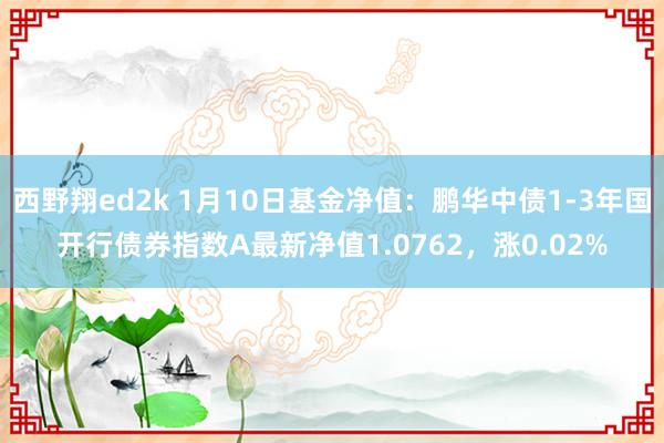 西野翔ed2k 1月10日基金净值：鹏华中债1-3年国开行债券指数A最新净值1.0762，涨0.02%