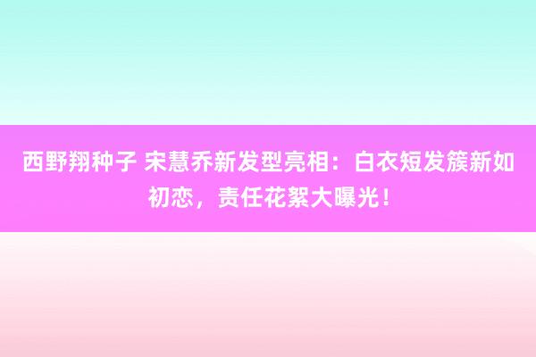 西野翔种子 宋慧乔新发型亮相：白衣短发簇新如初恋，责任花絮大曝光！