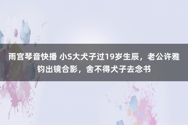 雨宫琴音快播 小S大犬子过19岁生辰，老公许雅钧出镜合影，舍不得犬子去念书