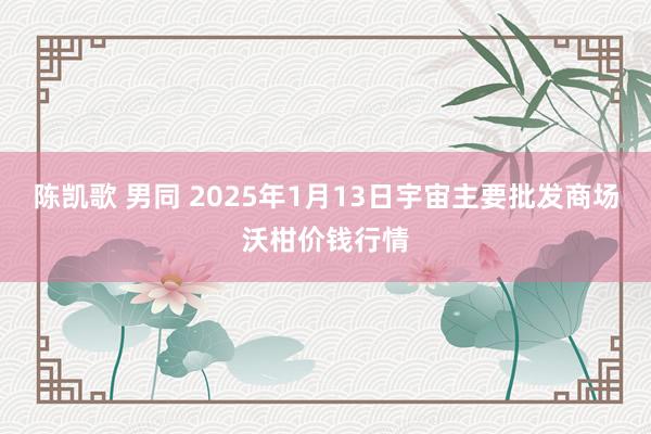 陈凯歌 男同 2025年1月13日宇宙主要批发商场沃柑价钱行情