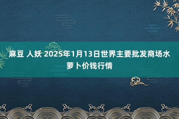 麻豆 人妖 2025年1月13日世界主要批发商场水萝卜价钱行情