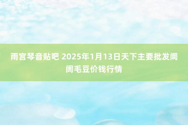 雨宫琴音贴吧 2025年1月13日天下主要批发阛阓毛豆价钱行情