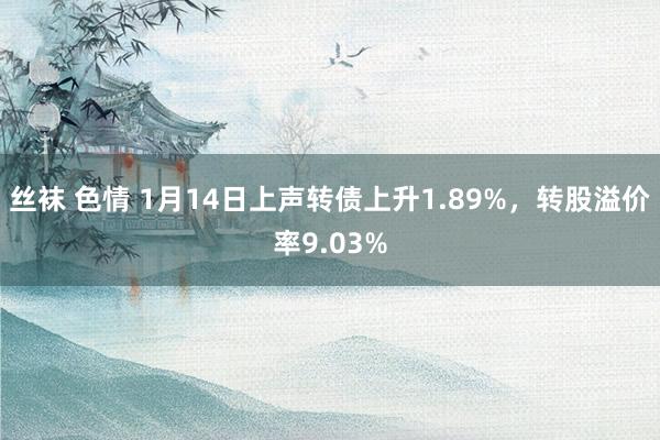 丝袜 色情 1月14日上声转债上升1.89%，转股溢价率9.03%