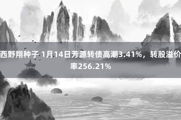 西野翔种子 1月14日芳源转债高潮3.41%，转股溢价率256.21%