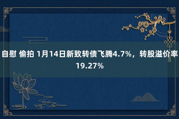 自慰 偷拍 1月14日新致转债飞腾4.7%，转股溢价率19.27%