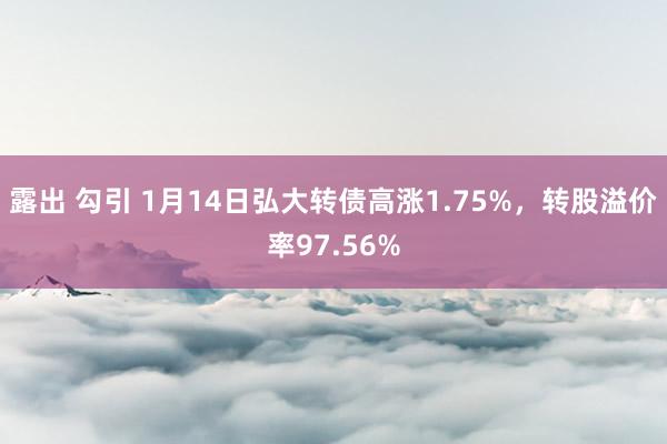 露出 勾引 1月14日弘大转债高涨1.75%，转股溢价率97.56%