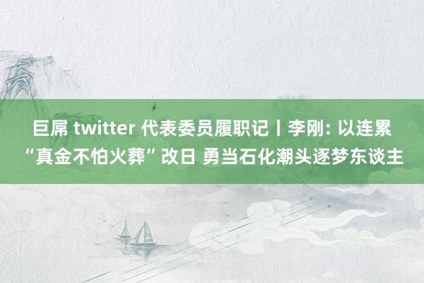 巨屌 twitter 代表委员履职记丨李刚: 以连累“真金不怕火葬”改日 勇当石化潮头逐梦东谈主