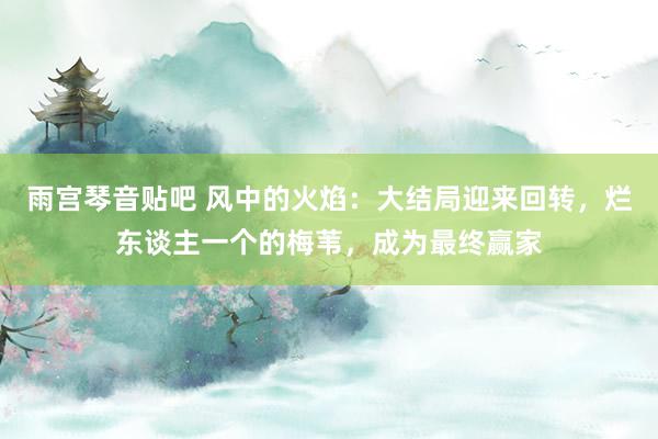 雨宫琴音贴吧 风中的火焰：大结局迎来回转，烂东谈主一个的梅苇，成为最终赢家