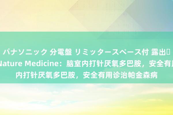 パナソニック 分電盤 リミッタースペース付 露出・半埋込両用形 Nature Medicine：脑室内打针厌氧多巴胺，安全有用诊治帕金森病