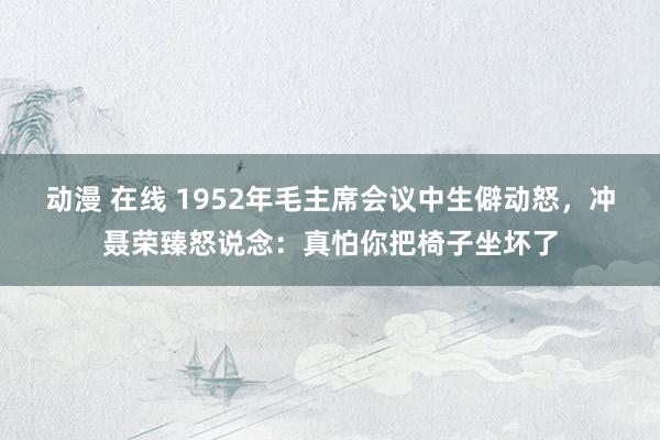 动漫 在线 1952年毛主席会议中生僻动怒，冲聂荣臻怒说念：真怕你把椅子坐坏了